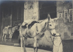 中国旅行　支那風光図絵写真 (1)